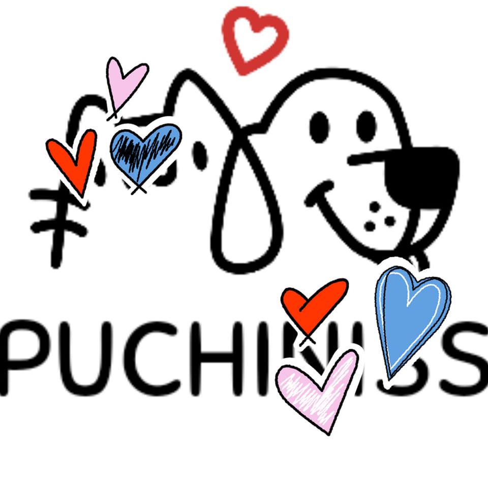 Logo Puchiniss